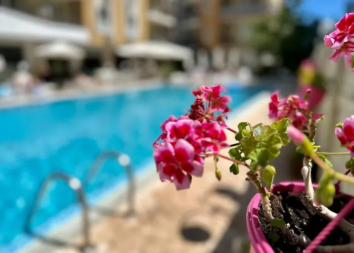 Blue Marine - Menada サニービーチ